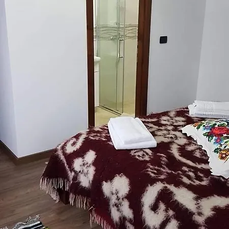 Popasul Calatorului Guest house Moisei