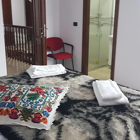 Popasul Calatorului Guest house Moisei